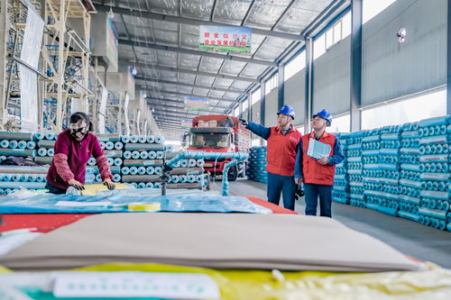 國網甘肅電力 黨建引領優質服務，網絡工程擦亮卓越服務新名片