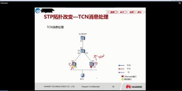 網(wǎng)絡(luò)工程師教程核心內(nèi)容全解析 從基礎(chǔ)理論到實(shí)戰(zhàn)技能